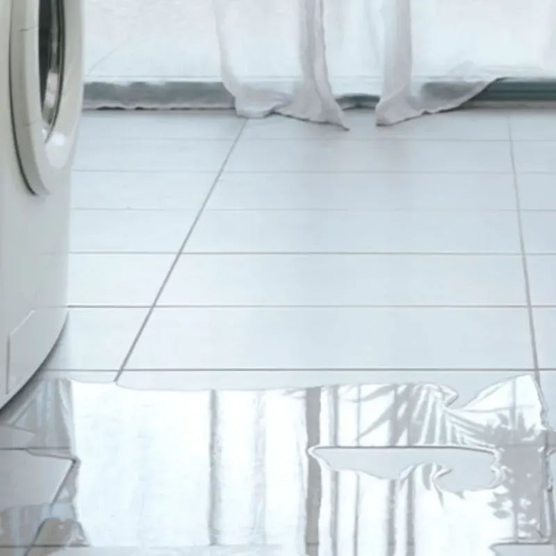 Appliance Leak Cleanup in Sugar Land, TX
