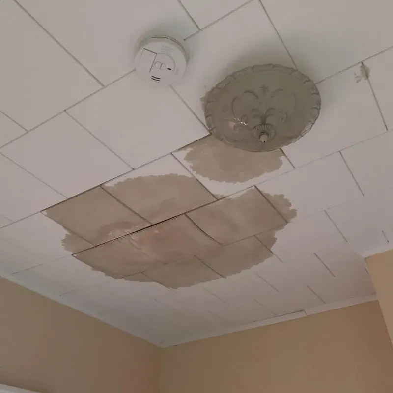 Ceiling Water Damage Repair in Sugar Land, TX